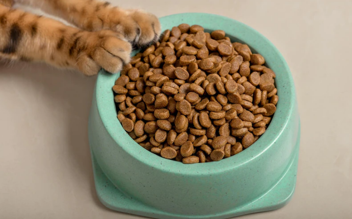 Top Cat Food that Help Reduce Shedding & Dandruff [2022]