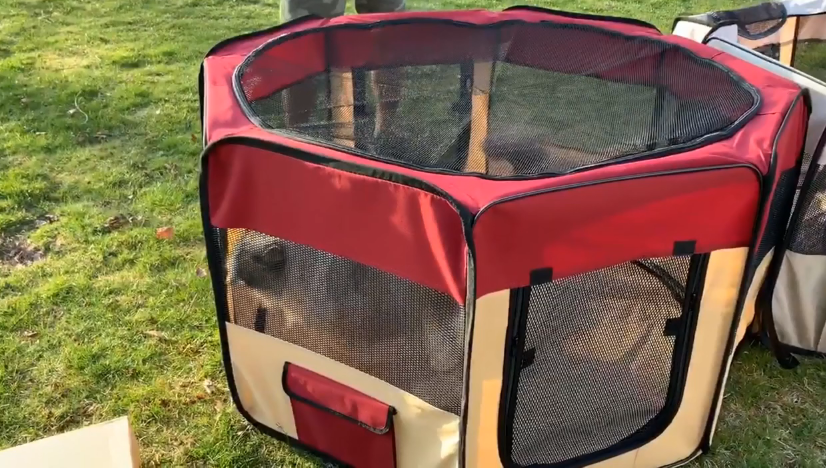 red and cream fur haven soft-sided cat playpen
