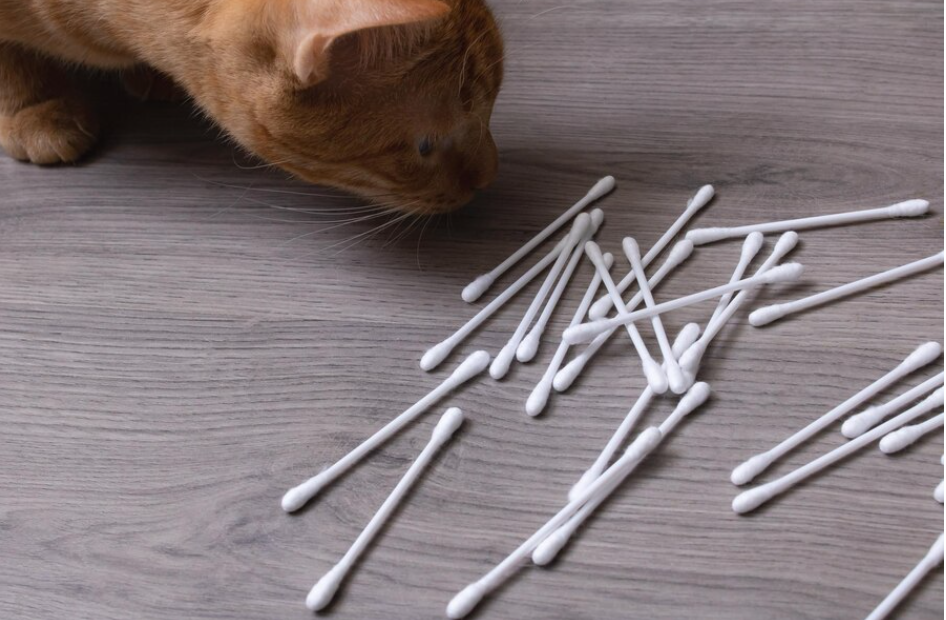 These Are The Proven Reasons Why Your Cat Likes Q-Tips