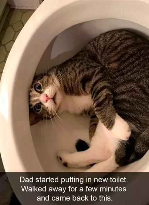 Came Back To This