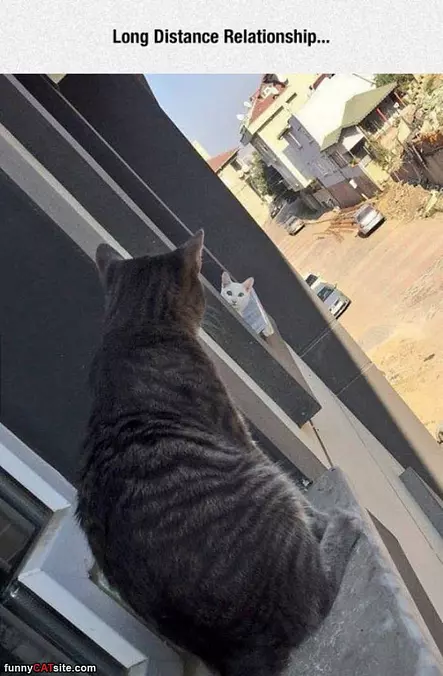 Long Distance Relationship