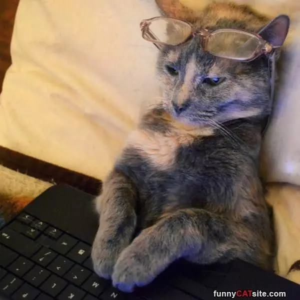So Very Relaxed