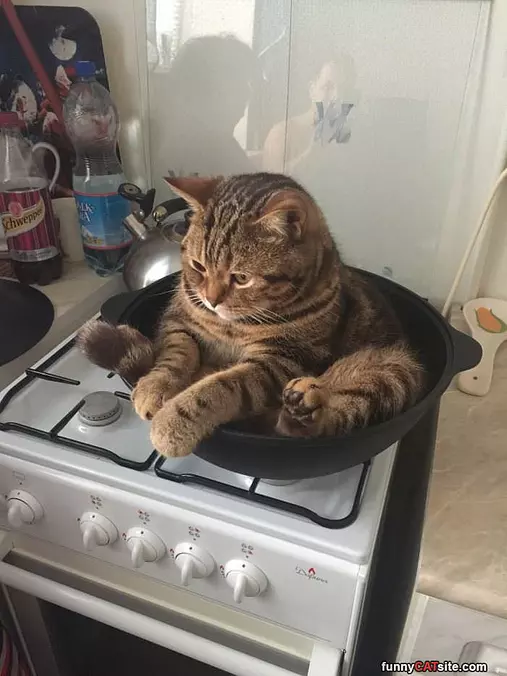 Warm Me Up