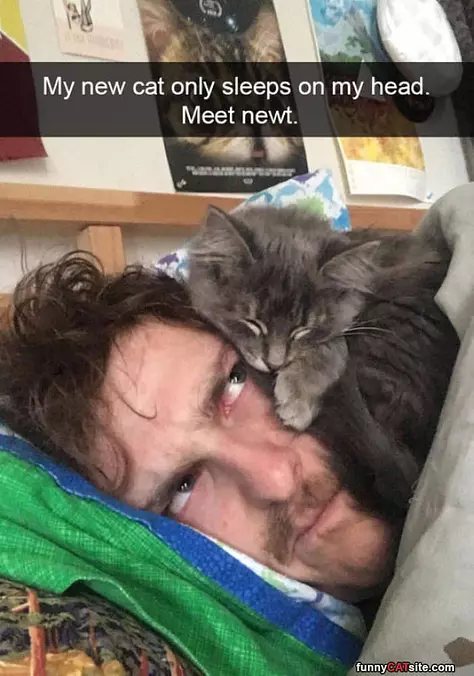This Is Where He Sleeps