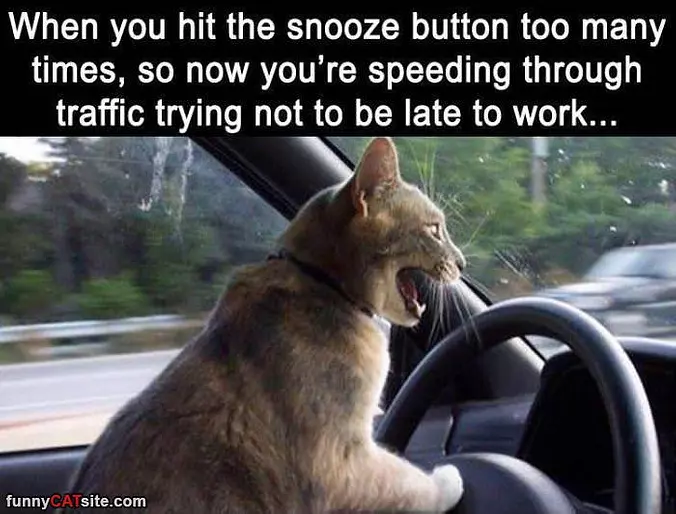 Hit Snooze Too Many Times