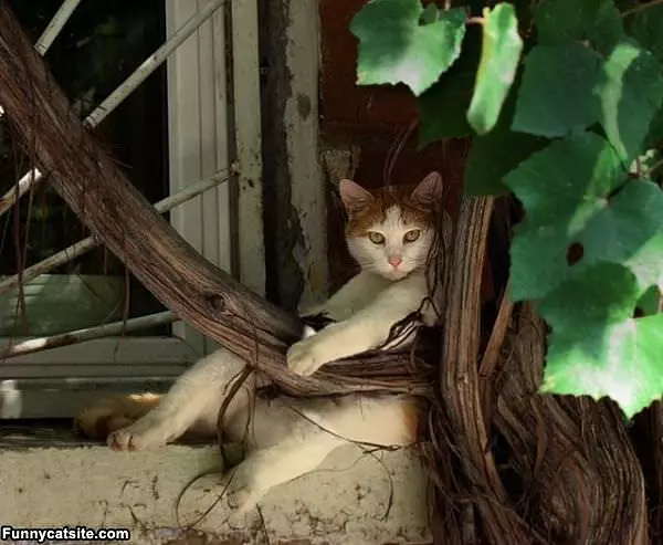 Just Relaxing
