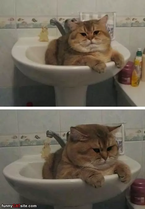 I Fits Perfect