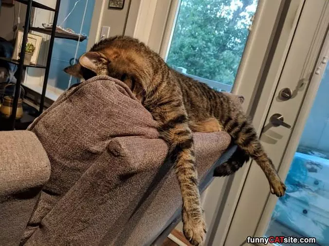 I Am Laying Here