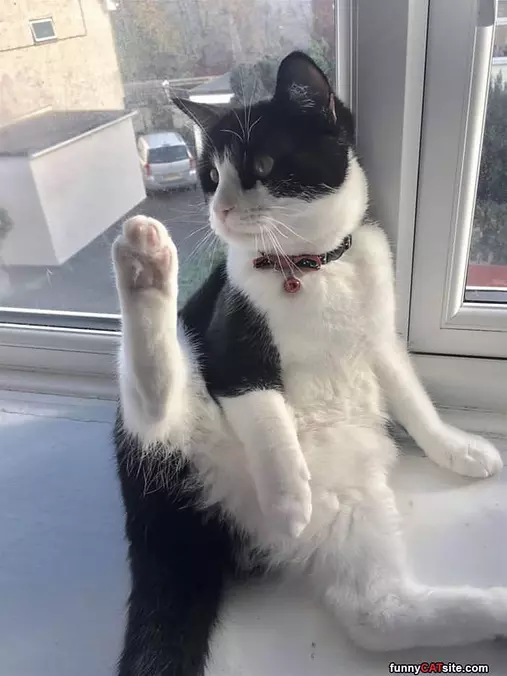 Chill Out