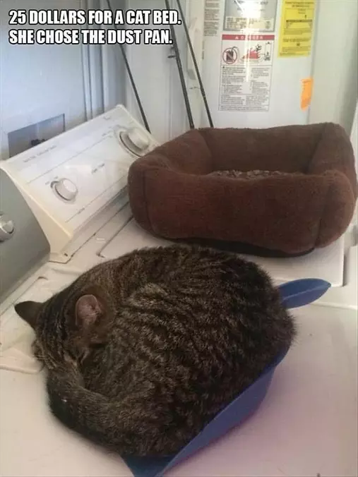 No I Want This Bed