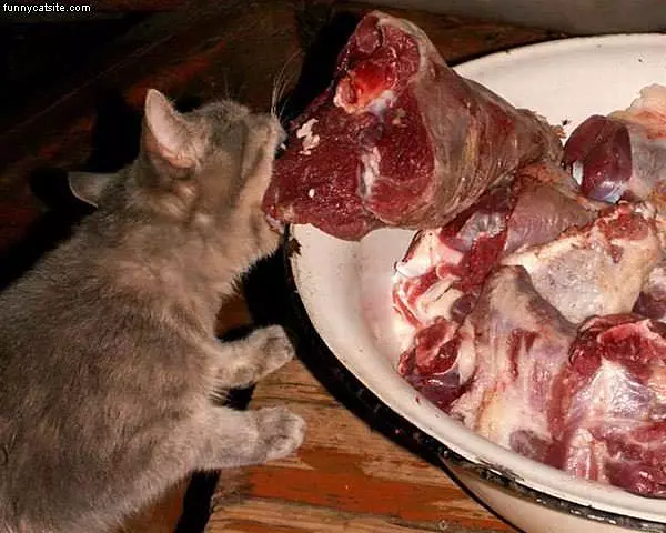 Lunch