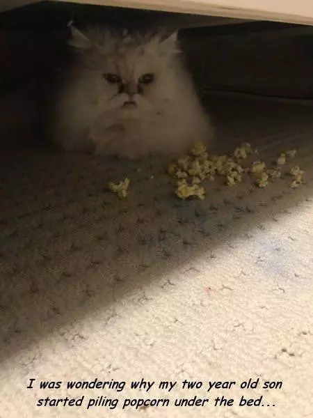 Thanks For The Popcorn
