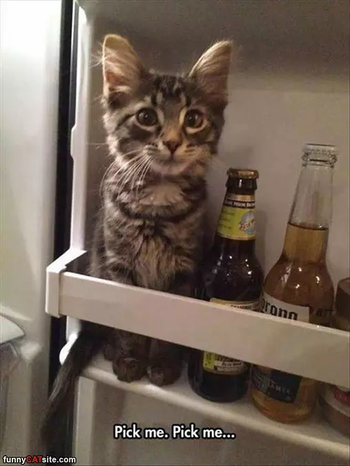 Pick Me Pick Me