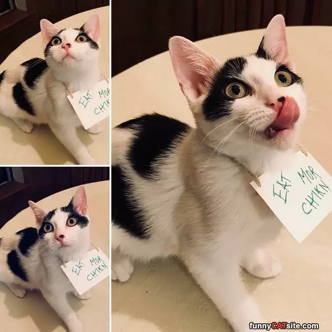 Eat More