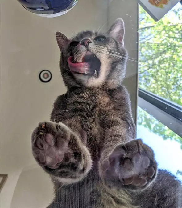 Nommmm