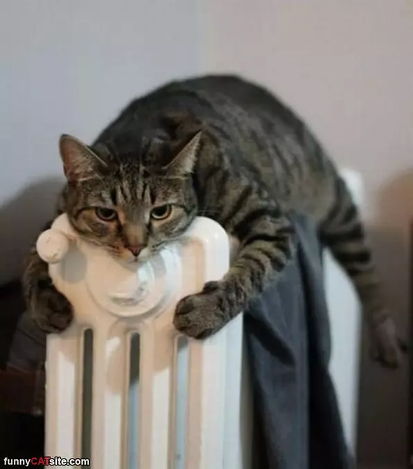 This Is Soooo Warm