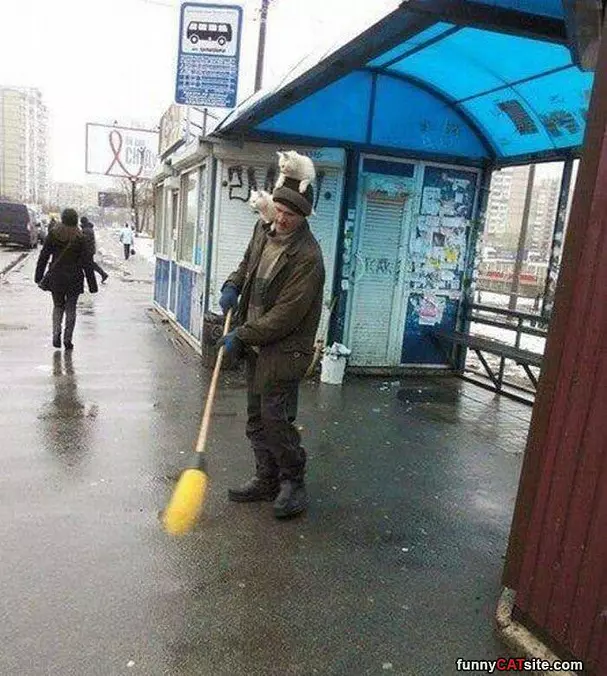 Sweep Faster Human