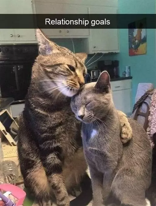 Hug You