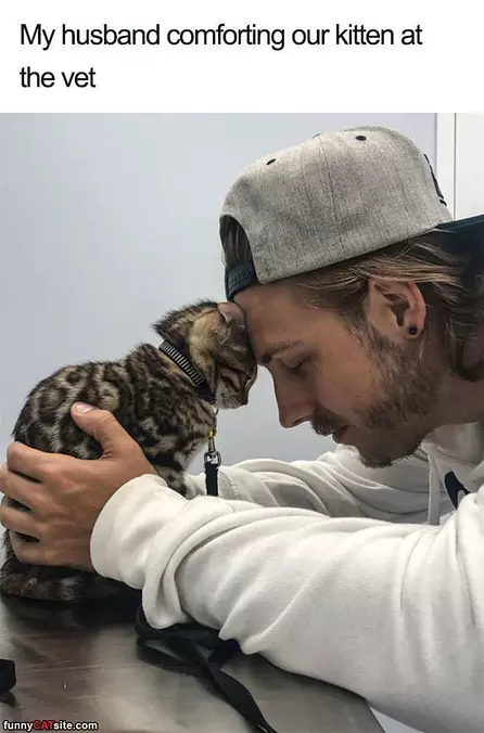 Comforting Our Kitty