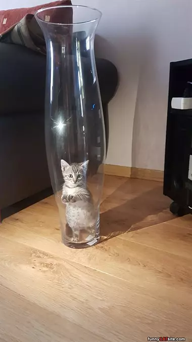 Help Me Out Of This Thing