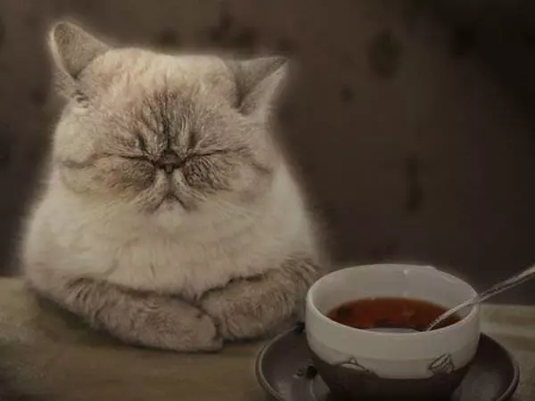 Do Not Want
