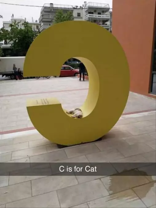 C Is For Cat