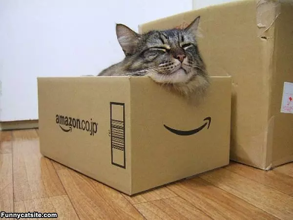 My Box