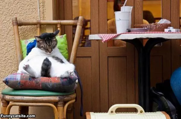 Lazy Days Here Again