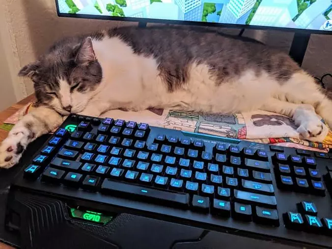 Dont Mind Me