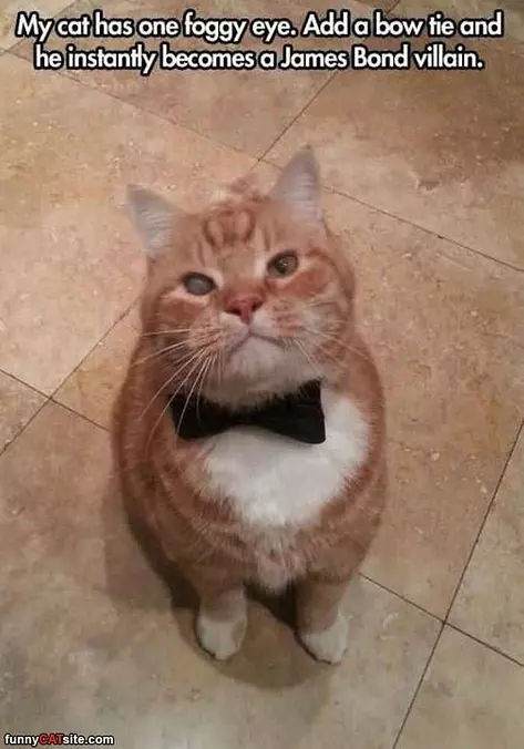 James Bond Villain