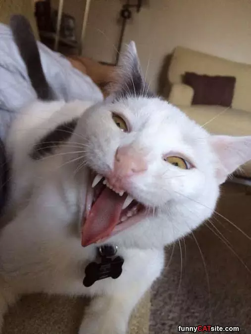 Yawnnnnn