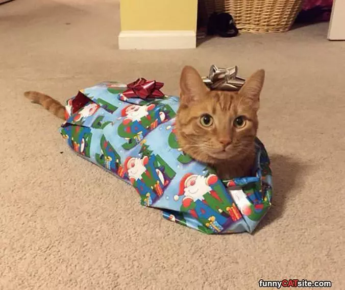 I Am A Present