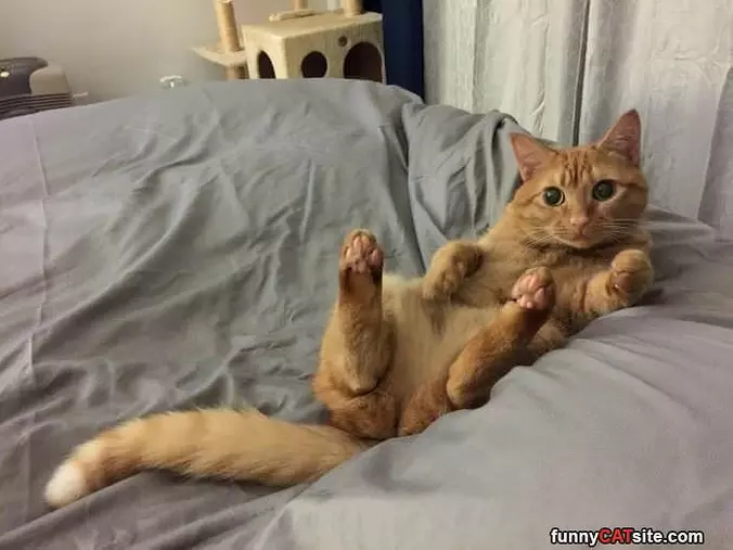 Here I Am