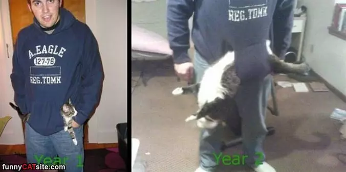 Year One And 2