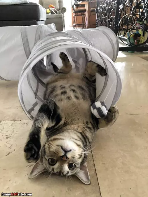 Laying On My Back