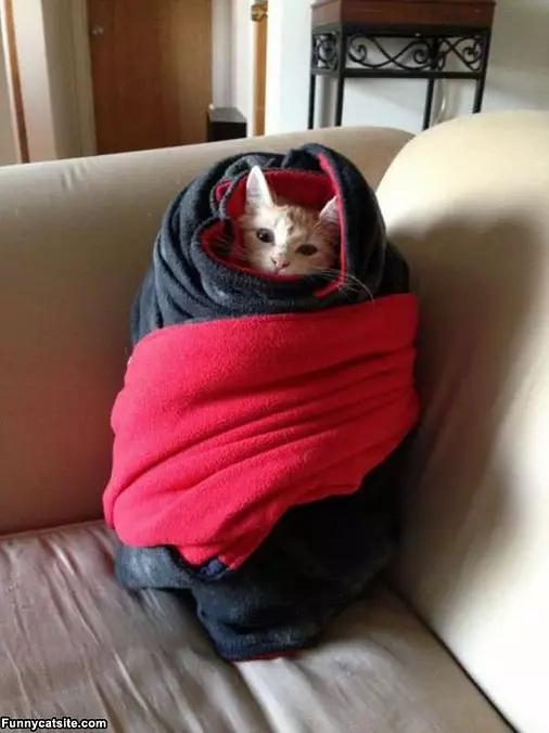 Bundled Up Good