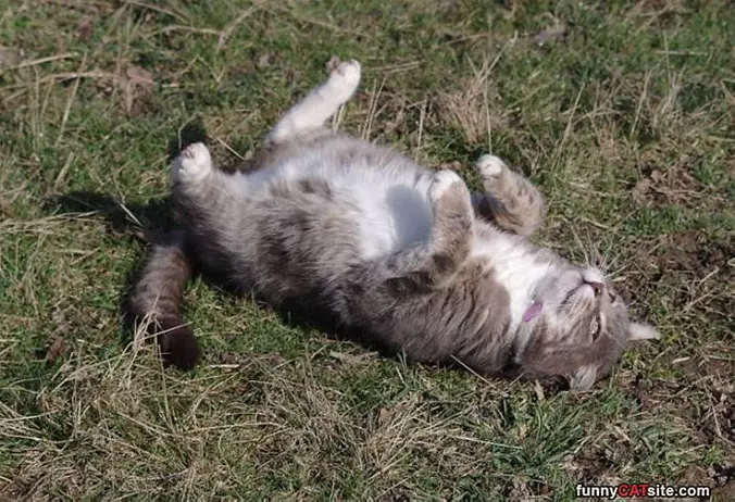 So Tired Now