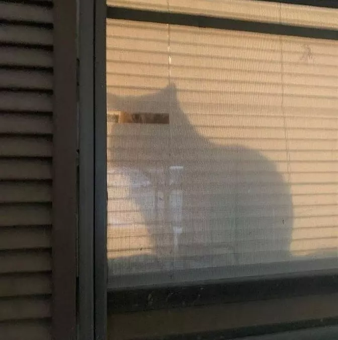 I See You All
