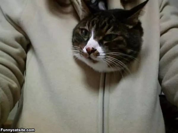 My Body Is Warm