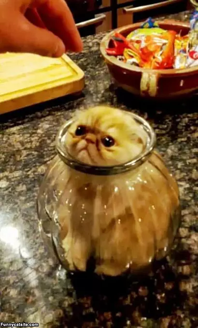 I Fit Ok