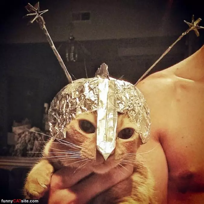 A Knight