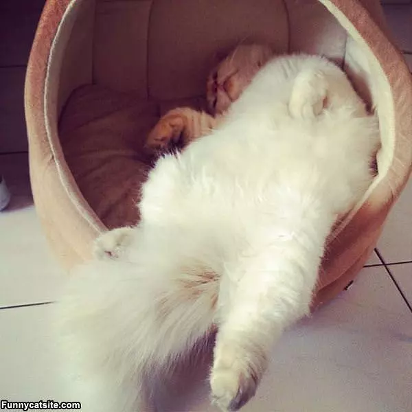 Yea Yea Ill Get Up