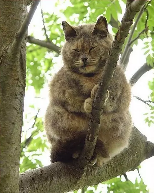 I Are Sleeping Here