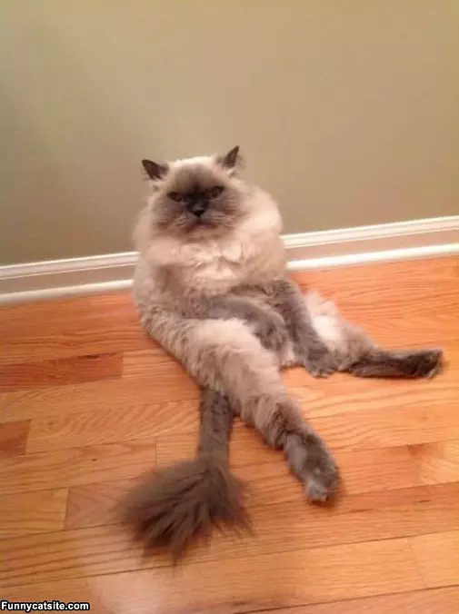 How I Like To Sit
