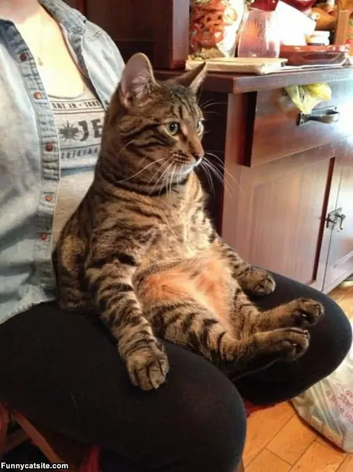 I Sit How I Want Ok