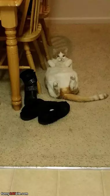 Hanging Around
