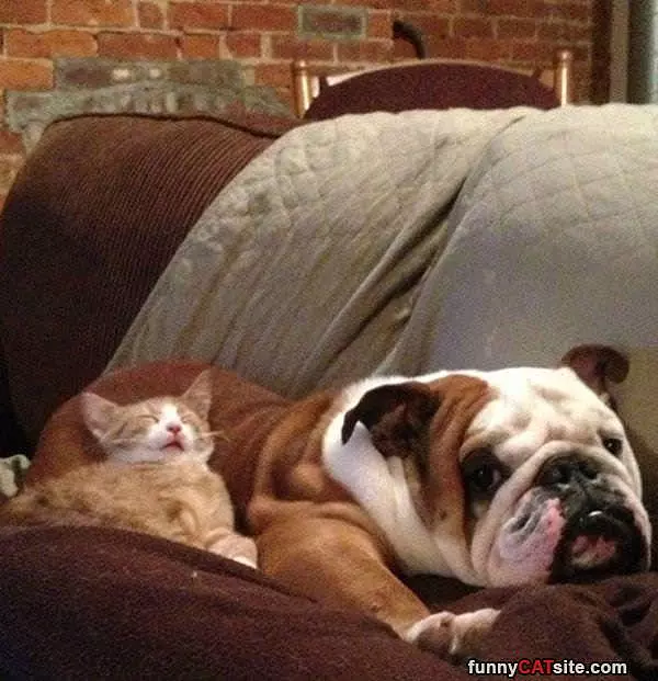 This Is A Nice Spot