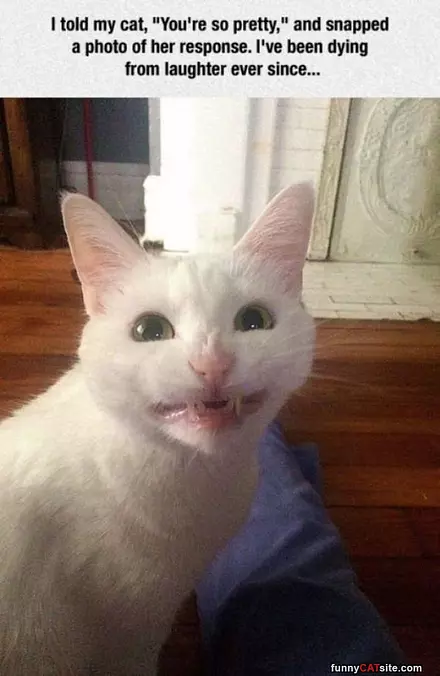 My Funny Smile