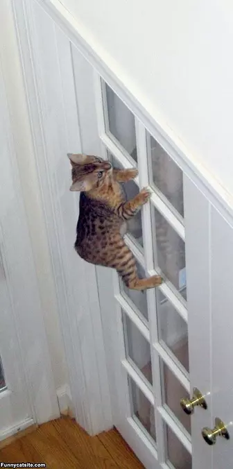 Door Climber