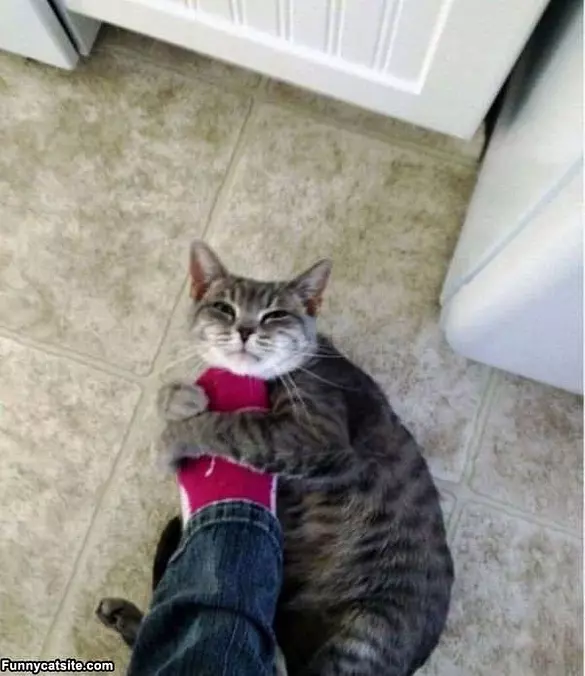 No Dont Leave Me